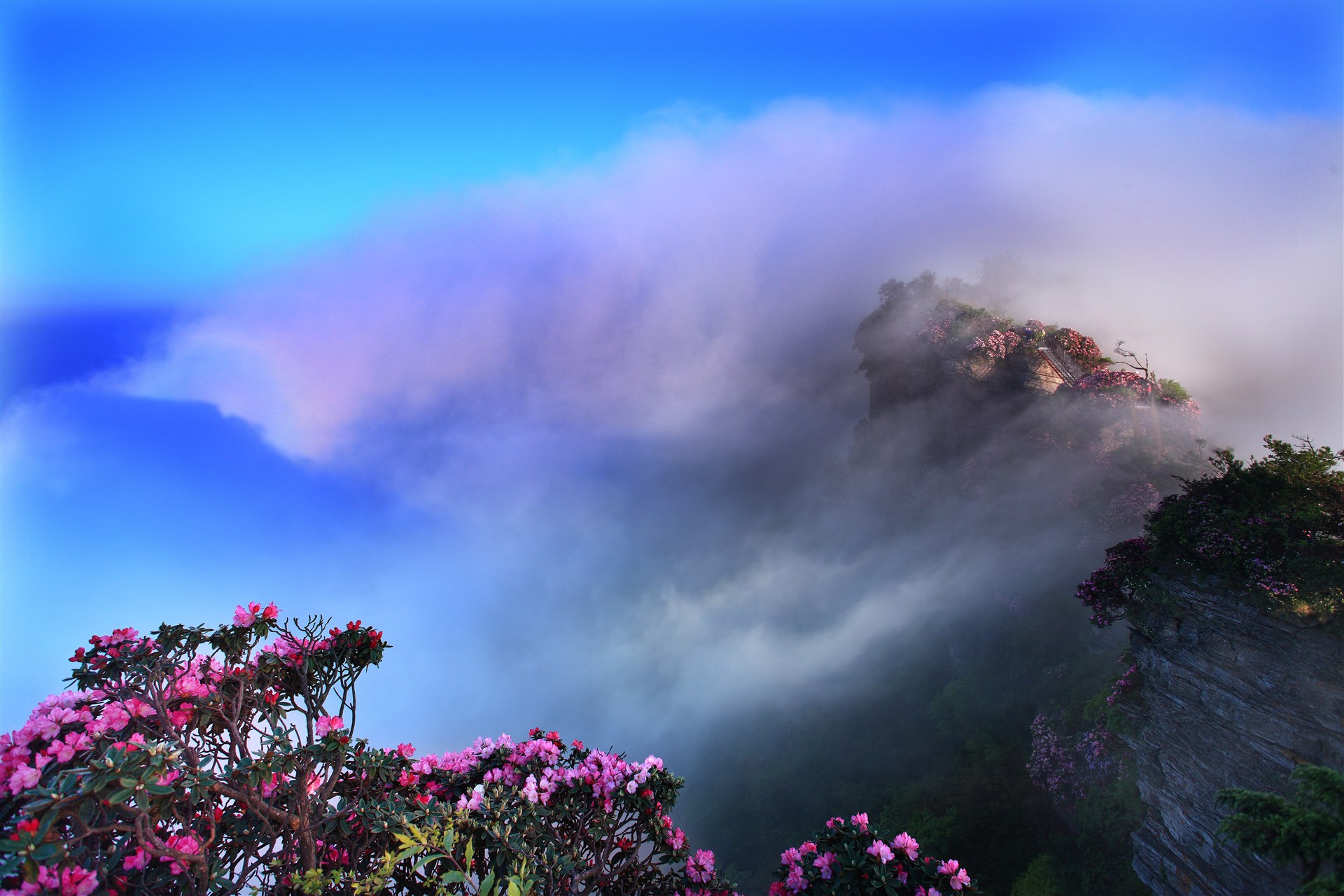 云岭花海(图2)